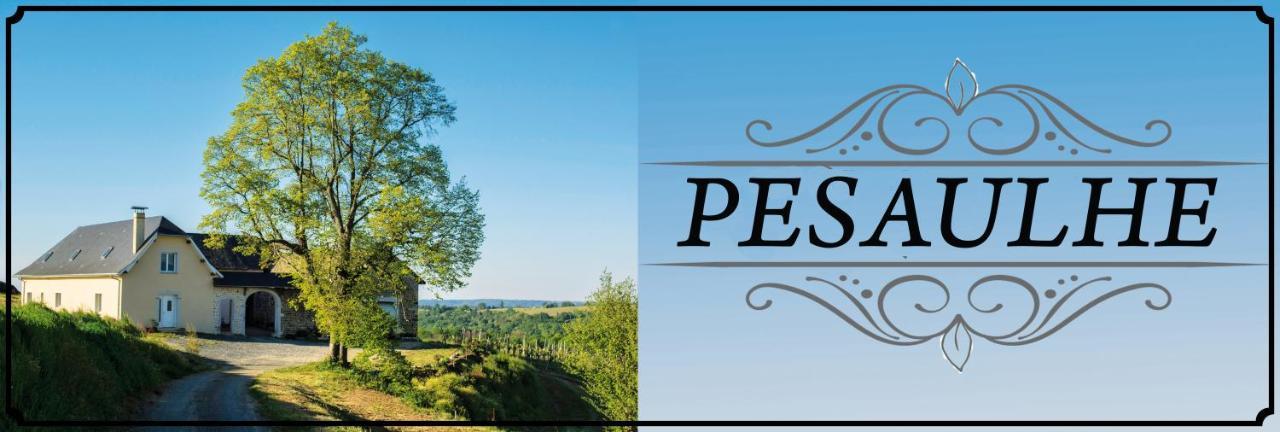 Pesaulhe Bed and Breakfast Monein Εξωτερικό φωτογραφία